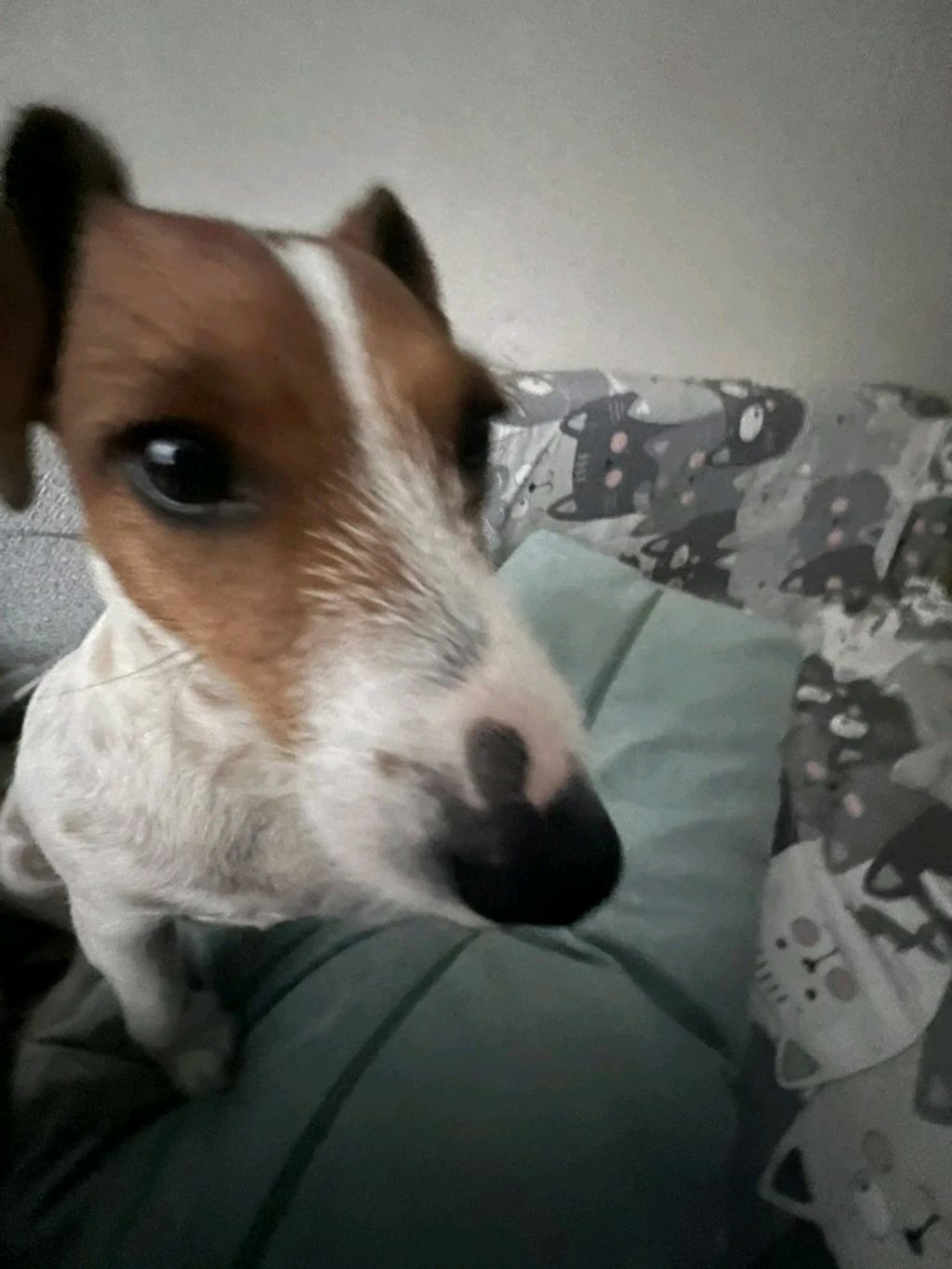 ИГРАЕМ В РБ И НЕ ТОЛЬКО