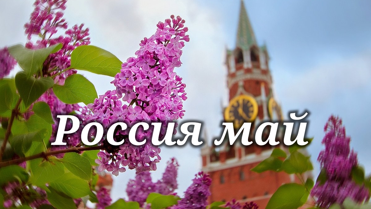 Россия - май 29-04-2026