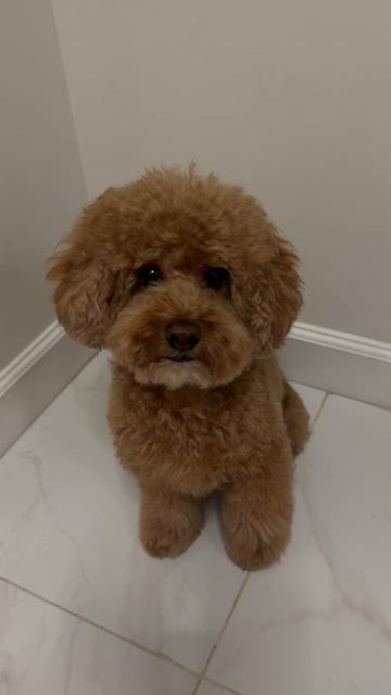 Когда помылся и уложился ну принц не иначе 