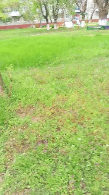 скоро лето!