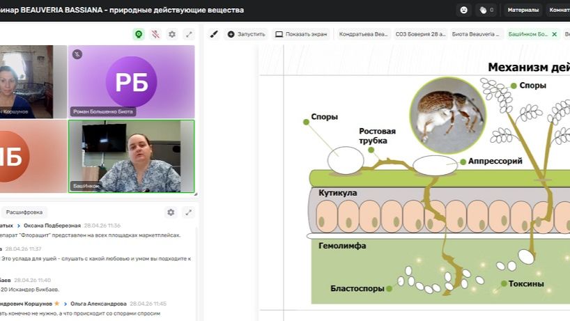 Вебинар BEAUVERIA BASSIANA  природные действующие вещества