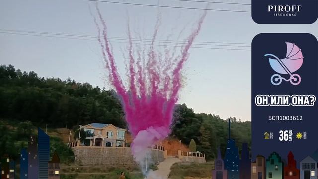 Салют на Гендер Пати на 36 залпов розовый Екатеринбург смотреть онлайн
