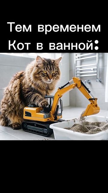 Жиза? мойпитомец кот мэйнкун котик смешныекоты жиза