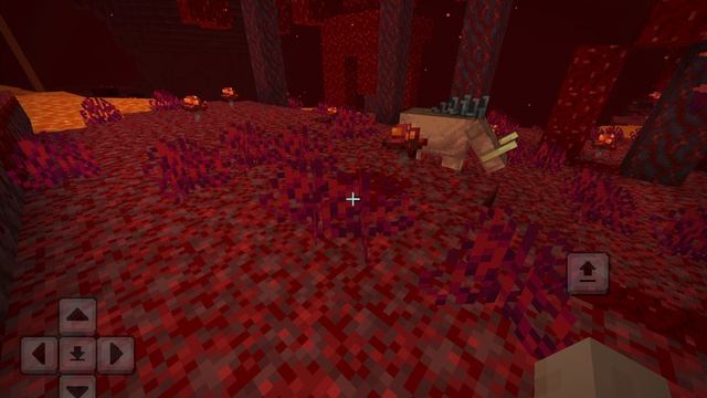 Эксперименты в аду  Майнкрафт 58 У КАБАНА В АДУ ОЧЕНЬ МНОГО ХП !?