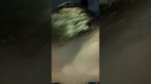 завтра концерт 2