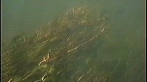 «ВРЕМЕНА ГОДА» цикл видео зарисовок Part 11 (1995 г.)