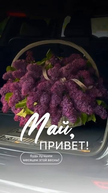 899839765_1_tiktok_69ee472b417573_10943337