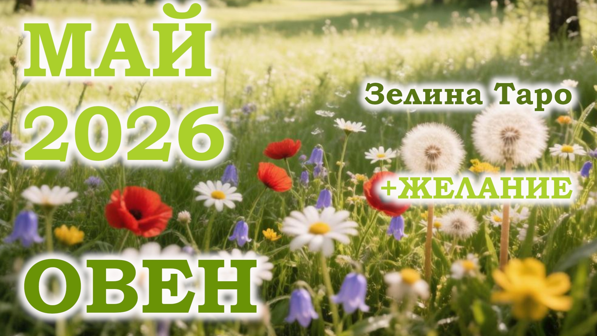 ОВЕН | ТАРО прогноз на МАЙ 2026 года | Желание | Расклад таро