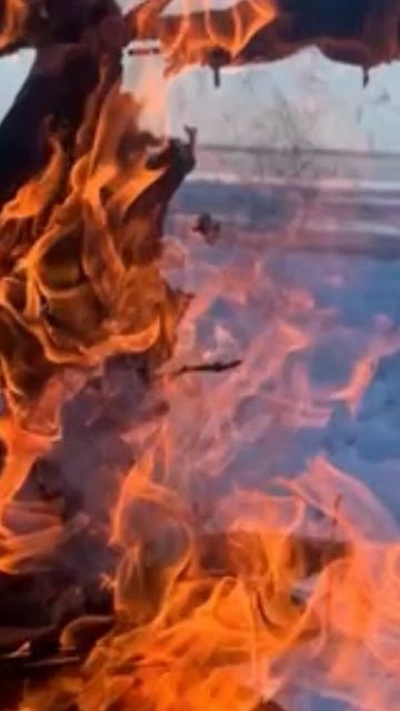 Вальпургиева ночь