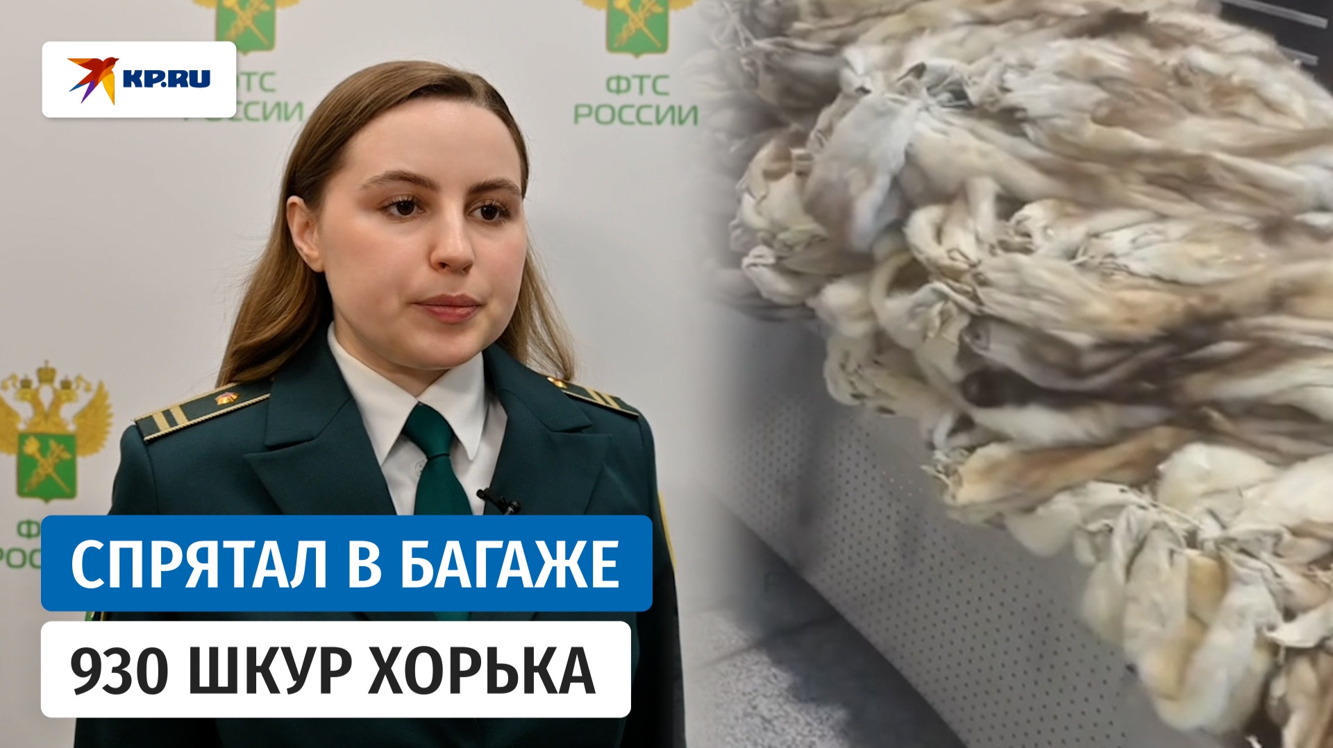 Шереметьевские таможенники нашли 930 шкур хорька в багаже иностранца