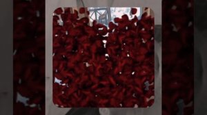 1000057250.mp4 (Собака наблюдает за устройством лестницы на 2-ой этаж в доме А-фрейм)