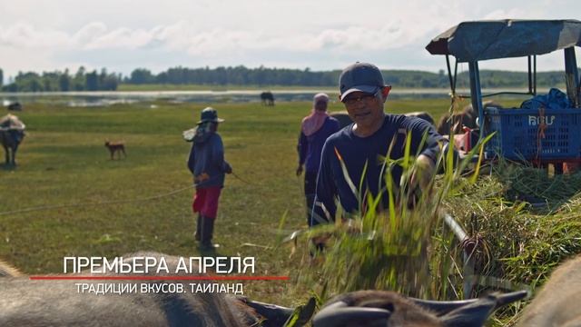 Традиции вкусов. Таиланд