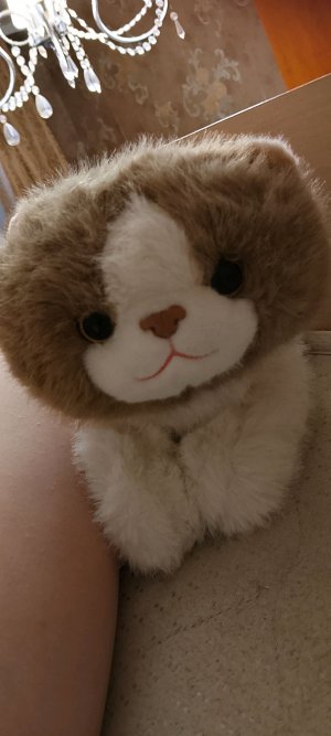 мистер Бася