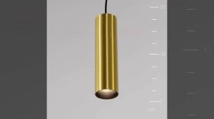 Светильник Maytoni Exility Focus LED TR041-2-12W3K-BBS