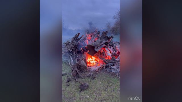 29 04 2026 Г. СР. АПРЕЛЬ. РАСЧИСТКА ТЕРРИТОРИИ.