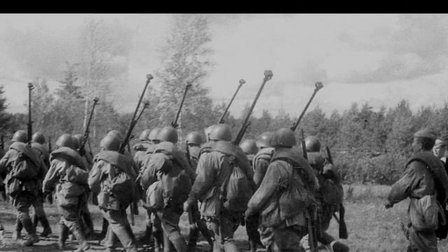 Николай Плетников