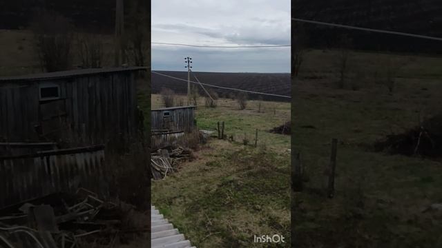 деревенские выходные