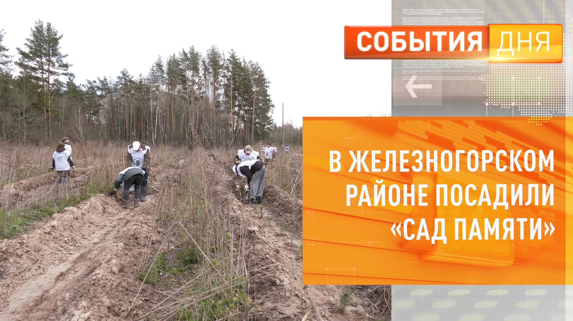 В Железногорском районе посадили Сад памяти