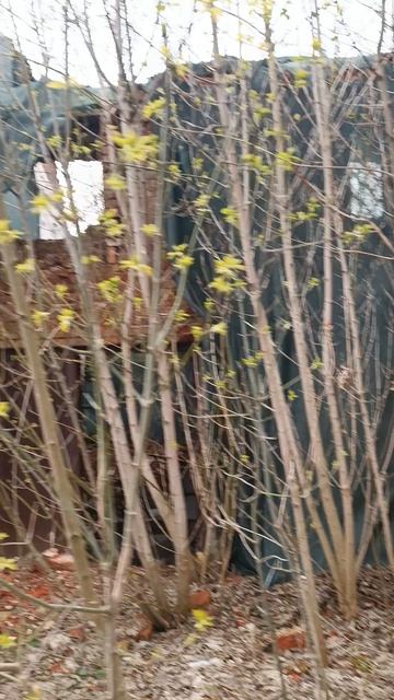 Нежилое здание с земельным участком г.Серпухов ул.Луначарского д.65