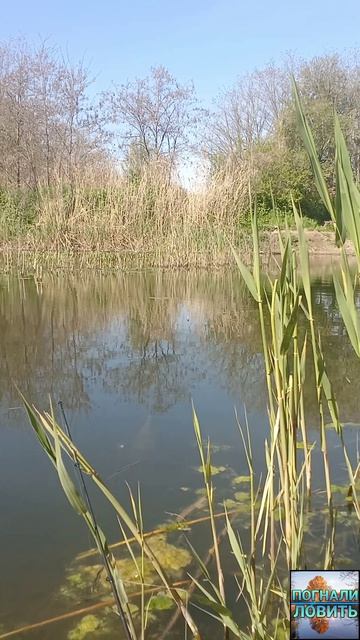 рыбалка на ПОПЛАВОК в ГОРОДЕ!