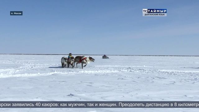 НОВОСТИ ТСТ долганский язык 29.04.2026