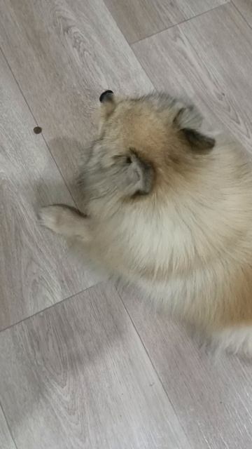 Кетти развлекается 