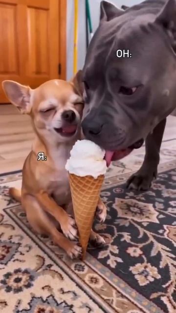 артикул в описании 👇🏻