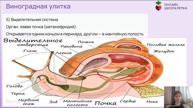 Новая запись