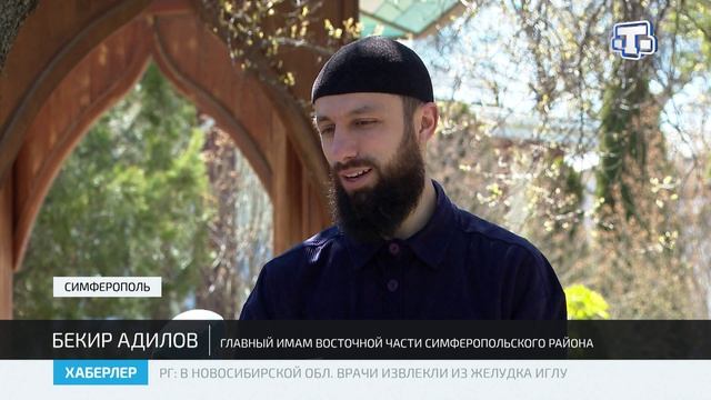 Пять кошек живут в мечети имени имама Азама Абу Ханифы