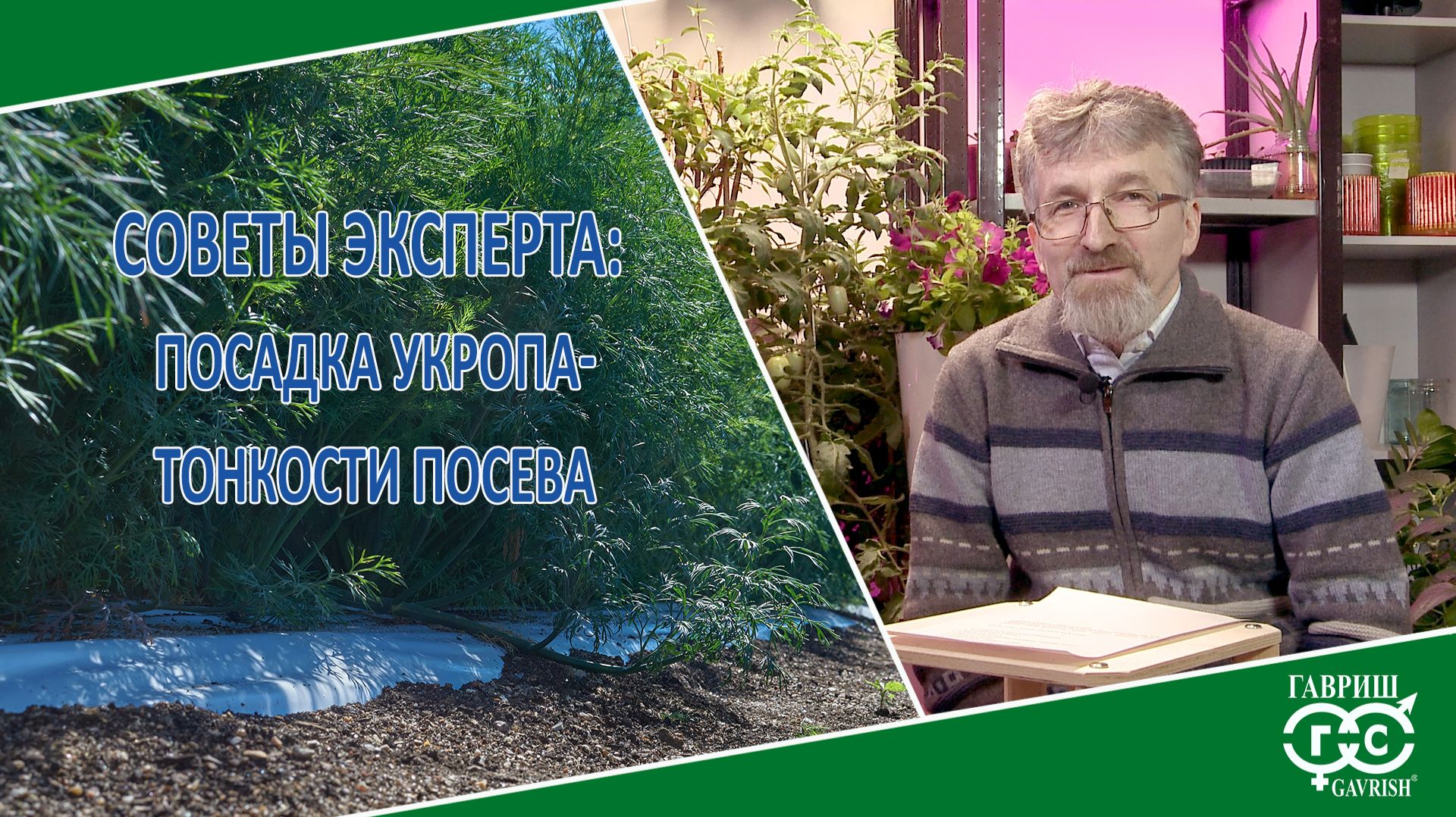 ПОСЕВ УКРОПА