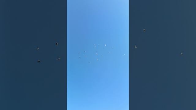 29.04.2026.
