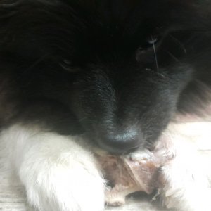 играю в War Thunder