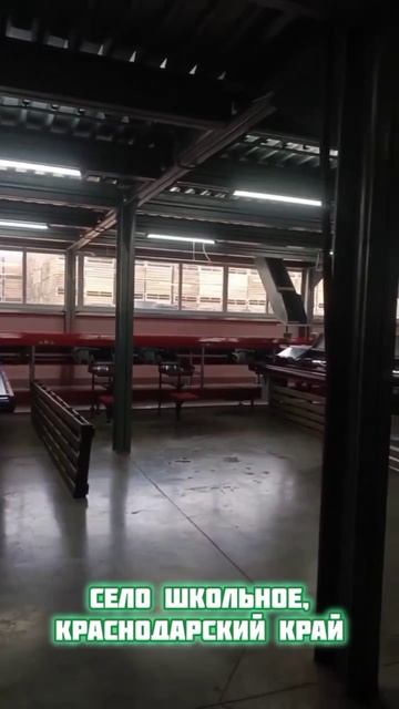 29.04.26 Плановое ТО линии сортировки яблок SORTER в Краснодарском крае