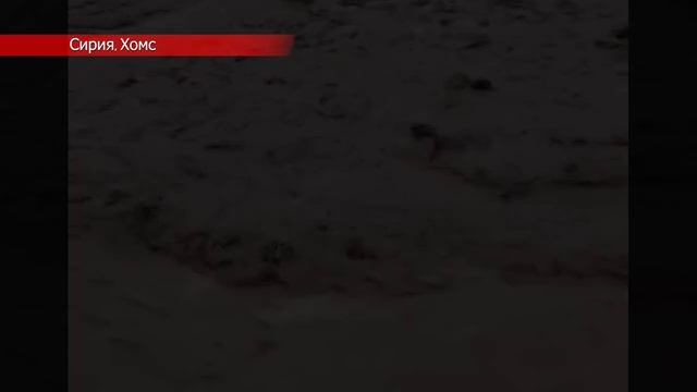 Новости Сегодня 29.04.2026 - Катаклизмы ЧП События дня  Россия США Китай Европа Индия