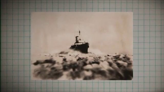 Скрытый лес Антарктиды, о котором они не хотят, чтобы вы знали