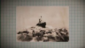 Скрытый лес Антарктиды, о котором они не хотят, чтобы вы знали