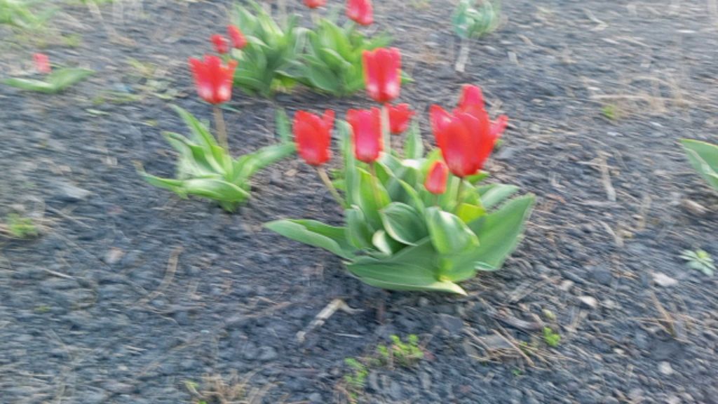 кофиек поболтать хочу