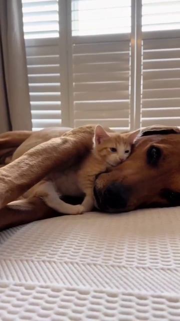 Вместе теплее