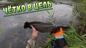 Headshot по Змееголову 🎯 Рыбалка на Рогатку