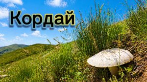 Кордайский перевал | 26 апреля 2026