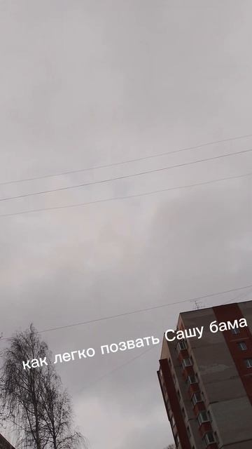 как легко позвать Сашу БАМа