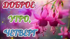 ДОБРОГО   УТРА  ЧЕТВЕРГА