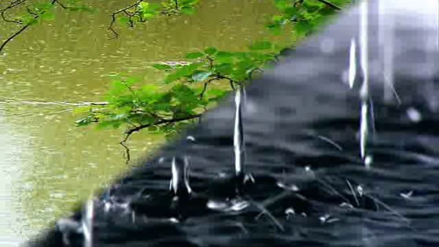 Об осеннем дожде