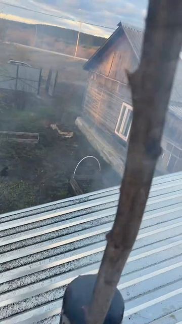 Уралочка на крыше #уралочка #деревенскаяжизнь #баня