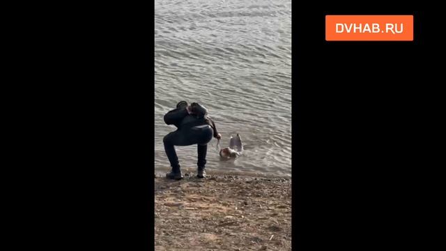 Хабаровские рыбаки ловят сомов-гигантов у набережной