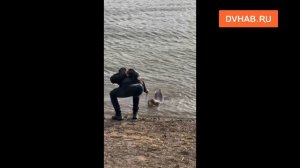Хабаровские рыбаки ловят сомов-гигантов у набережной