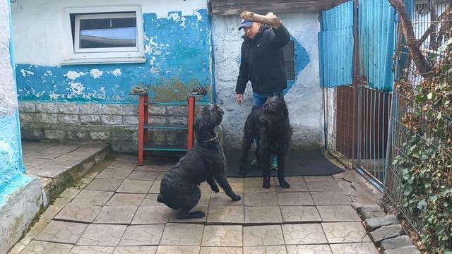 Пуля и Евпатор Митридат. 12.04.26. Севастополь.п-к Роман-Кош