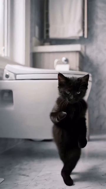 Доброе утречко! Первым делом туалет 😹