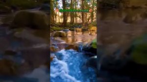 Поздняя любовь 🩷