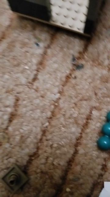 Фигня а неподговка...